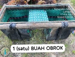 Pelaku Pencurian Buah Sawit di Estate Bintang Mesuji Berhasil Diamankan Keamanan Perusahaan