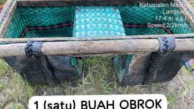 Pelaku Pencurian Buah Sawit di Estate Bintang Mesuji Berhasil Diamankan Keamanan Perusahaan