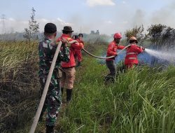Babinsa Koramil 402-07/Indralaya Bersama Tim Gabungan Padamkan Karhutla di Desa Rambutan