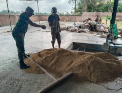 Babinsa Turun ke Penggilingan, Dampingi Petani Siapkan Gabah Berkualitas