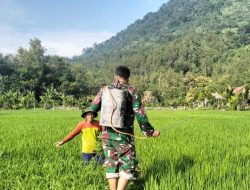 Babinsa Desa Tanggulturus Dampingi Petani Semprot Pestisida