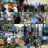 Perkuat Potensi Perkebunan Papua Barat, Wapres Tanam Bibit Kakao di Manokwari Selatan