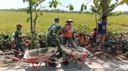 Salut! Babinsa Guworejo Ikut Angkat Batu Demi Talud Irigasi Warga Desa Puro