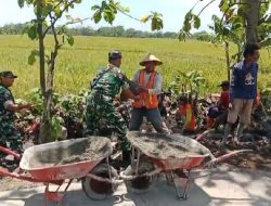 Salut! Babinsa Guworejo Ikut Angkat Batu Demi Talud Irigasi Warga Desa Puro