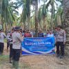 Kapolsek Keluang Turun Langsung, Aktivitas Illegal Drilling di Lahan HGU PT Hindoli Mulai Ditertibkan