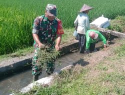 Sinergi Upsus Ketahanan Pangan, Serma Aminoto Bersama Poktan Margo Rukun Bersihkan Saluran Irigasi