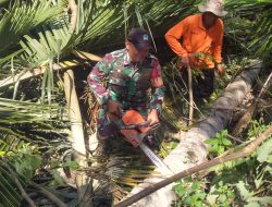 Babinsa Bersama Relawan Mitigasi Pada Penanganan Pohon Rawan Tumbang