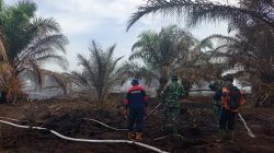Kodam XIX/Tuanku Tambusai Terus Berjibaku Padamkan Karhutla di Rengat, 2,4 Hektare Lahan Berhasil Diamankan