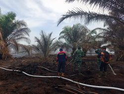 Kodam XIX/Tuanku Tambusai Terus Berjibaku Padamkan Karhutla di Rengat, 2,4 Hektare Lahan Berhasil Diamankan