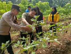 Bhabinkamtibmas Duri Kosambi Hadiri Panen Sayuran, Wujud Sinergi Polisi dan Warga Perkuat Ketahanan Pangan
