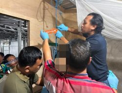 Misteri Obrolan Telepon, Seorang Pelajar di Lombok Utara Ditemukan Tewas