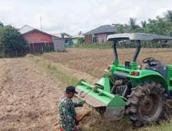 Babinsa Dampingi Pengolahan Lahan Sawah di Uteun Geulinggang
