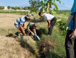 Lawan Hama Tikus, Babinsa Bersama Petani Kompak Gelar Gerdal Serentak