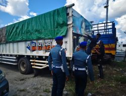AL Perketat Pengawasan, Pengiriman Kayu Ilegal Berhasil Digagalkan