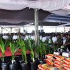 Dukung Ketahanan Pangan Nasional, Dandim 1707/Merauke Hadiri Gerakan Tanam Padi Bersama Menteri Pertanian RI