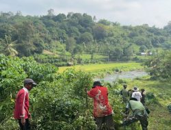 Yonif TP 951/Pandeka Marapi Gotong Royong Bersama Warga Bersihkan Lingkungan di Nagari Simawang