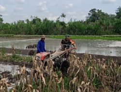 Percepat Masa Tanam, Babinsa Sumberingin Kopda Nizar Dampingi Petani Membajak Sawah