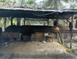 Polsek Keluang Gerebek Kilang Minyak Ilegal Berkapasitas 80 Drum, Tiga Pelaku Diamankan