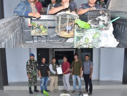 Tim Gabungan TNI AL Kembali Gagalkan Penyelundupan Satwa Dilindungi dari Atas Kapal Penumpang di Sorong