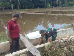 Babinsa Ikut Bersihkan Saluran Irigasi
