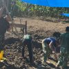 Harapan Warga Desa Mazingo Mulai Terwujud, Bakti TNI Bangun Jembatan Gantung