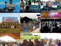 Panen Raya TNI di Papua Barat, Pangdam XVIII/Kasuari Tegaskan Komitmen Wujudkan Ketahanan Pangan Nasional