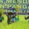 Kodam XIX Tuanku Tambusai Gelar Panen Raya di Bengkalis, Kasdam Ikuti Vidcon Bersama Presiden RI
