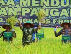 Kodam XIX Tuanku Tambusai Gelar Panen Raya di Bengkalis, Kasdam Ikuti Vidcon Bersama Presiden RI