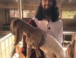 Bikin Konten Jualan Kambing Sembari Dakwah, Warga Kota Batu, Faiq Mendadak Viral dan Banjir Follower di Instagram dan TikTok