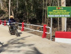 Jembatan Garuda di Desa Rejosari Kini Jadi Akses Andalan Warga