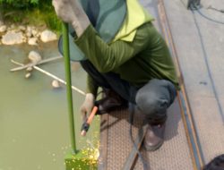 Tinggal Pasang Lantai dan Railing, Jembatan Gantung Sawang Makin Dekat Bisa Dilalui Warga