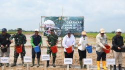 Panen Hari Ini, Tanam Hari Ini, Korem 044/Gapo Dukung Gerakan IP300 Untuk Ketahanan Pangan Nasional