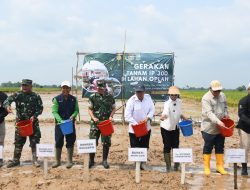 Panen Hari Ini, Tanam Hari Ini, Korem 044/Gapo Dukung Gerakan IP300 Untuk Ketahanan Pangan Nasional