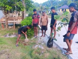 Hijaukan Kampung, Sejahterakan Warga! Satgas TMMD Ke-129 Tanam 500 Pohon Produktif untuk Masa Depan Masyarakat Sesor