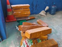 Satlap Tri Cakti Bongkar Penyelundupan Timah Ilegal di Belitung, 229 Kampil dan Perdana 37 Balok Disita