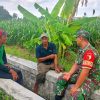 Kapenrem 081/DSJ: Pendampingan Babinsa Bentuk Kepedulian TNI AD