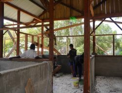 Pembangunan Rumah Ke-1 Type 36 Semi Permanen Capai 68 Persen, Satgas TMMD Ke-129 Kodim 1807/Sorsel Terus Wujudkan Hunian Layak bagi Masyarakat