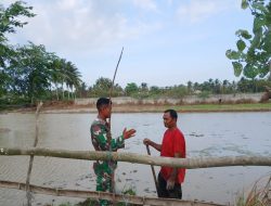 Di Tepi Sawah, Babinsa Baktiya Dengarkan Cerita Petani Siapkan Benih Padi