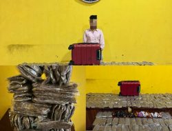 Polresta Sorong Kota Ungkap Kasus Peredaran Ganja, Kurir Diamankan dengan Barang Bukti 5,4 Kilogram