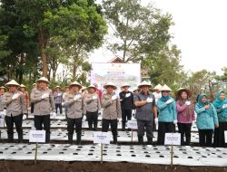 Dukung Ketahanan Pangan Nasional, Kapolda Sumsel dan Wali Kota Pagar Alam Gelar Tanam Perdana Bawang Putih