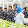 Wujud Dukungan Ketahanan Pangan Nasional, Komandan Kodaeral XIV Resmikan Green House Jala Lestari dan Tebar Benih Ikan Nila