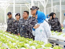 Wujud Dukungan Ketahanan Pangan Nasional, Komandan Kodaeral XIV Resmikan Green House Jala Lestari dan Tebar Benih Ikan Nila