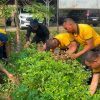 Brimob Polda Metro Jaya Panen Hasil Program Ketahanan Pangan