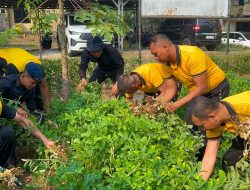 Brimob Polda Metro Jaya Panen Hasil Program Ketahanan Pangan