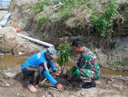 Hijaukan Lereng Sungai, Babinsa Mliwis Bersama Warga Tanam Pohon Demi Cegah Banjir dan Longsor