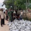 Awal Budidaya Bandeng Dimulai, Babinsa Posramil Lapang Hadir Menemani Petani Tambak