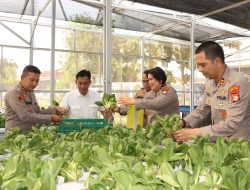 Kapolres Metro Jakarta Barat Tinjau SPPG dan Panen Sayuran Pokcoy Di Greenhouse SPPG Polri Palmerah