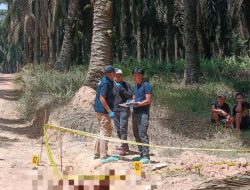 Polres Musi Banyuasin Usut Tuntas Penemuan Jenazah Pria di Perkebunan Sawit PT Hindoli