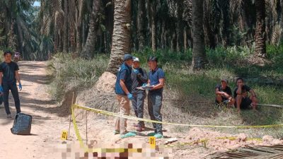 Polres Musi Banyuasin Usut Tuntas Penemuan Jenazah Pria di Perkebunan Sawit PT Hindoli