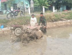 Tak Menunggu Panen, Babinsa Sudah Hadir Sejak Tanah Mulai Dibajak